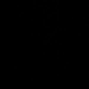 Meet your Posher, Tat